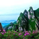 그린고속관광(주) 이미지