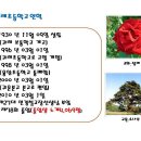 귀래초46회 행사자료(사진집) 이미지