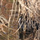 수원-0104 이미지