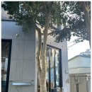 옹달샘시장 | 제주 푸아루 관덕정 근처 작은 감성 카페 방문 후기