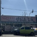 탑동 | 양심소 수원탑동점 내돈내산 점심특선 후기