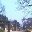 종달새어린이공원 이미지