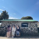 금능124