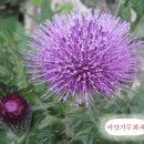 바닷가농원 이미지