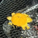 국원마트 | 1박2일 경기도 파주 여행 🤍