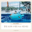 하니스파펜션 | 통영 수영장 숙소 하니스파펜션 아이랑 가성비 내돈내산 여행