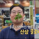 영자식당 이미지