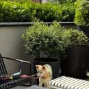 햇살슈퍼 이미지