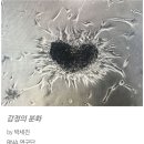 나비공간 이미지