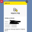 미더베스트