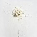 솔비호프 이미지