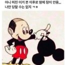 메이비(May-B) 네이버블로그