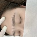 데이지샵 | 안동눈썹문신 안동데이지 안동여자눈썹문신추천받고간후기 잘못된눈썹문신전문
