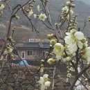 명산차민박 이미지