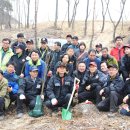 남부산림청, 부산생명의숲 등과 봄철 나무심기 착수 행사 가져 2014. 3.12 이미지