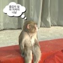 왕산1 | 마라토너ㅋ의 일주일 공유드립니다