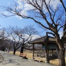 성대2리 이미지