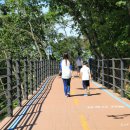 춘천 자전거(소양강처녀상 건너) 이미지