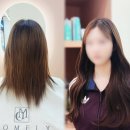 어여쁨 | 대구붙임머리 어여쁨 후기