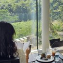 울산 핫플 미지의 핑거 다이닝 코스 후기 카페 라운지 정원 전시 공간 자체가 예술 작품