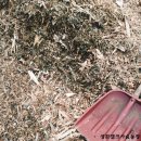 성환엘크사슴농장 이미지