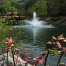 카멜펜션 이미지