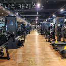 캐리피트니스 이미지