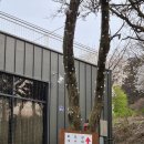 양주 캠핑장 [봄이오는캠프] - A5 데크, 명당, 서울근교 당일치기 캠핑 후기
