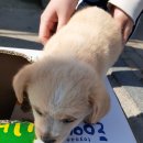 홍주초등학교 이미지