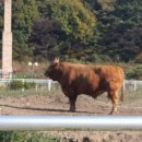 무안곤충농장 이미지