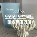 평범한 공간에 새로운 포인트 오리진 오브젝트 데스크테리어 미니화분 후기