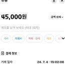 도그플레이풀