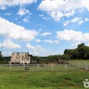 성철목장 이미지