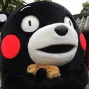 일루젼가든돌 네이버블로그