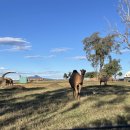 신기한농장 이미지