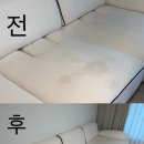 동대구대리점