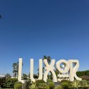 팰리스호텔 | 이집트 룩소르 소피텔 윈터팰리스 호텔, 수영장 후기