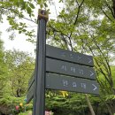 소요산충남식당 | [등산] 소요산 등산후기와 하산 맛집 ‘충남식당’ 추천