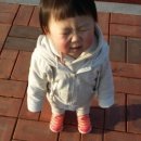 송산 3.1기념공원 이미지