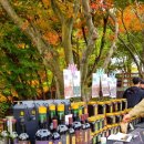 대둔산농장 이미지