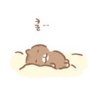 석등있는집