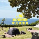 울릉도 바다 위 힐링캠핑! 뷰 대박 ‘학포야영장’ 이용 꿀팁 총정리
