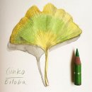 보테니컬 일러스트 이미지