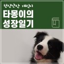 (주)스타몽 이미지