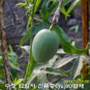 블루스카이 이미지