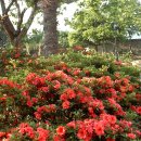 꽃뜰펜션 이미지