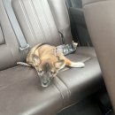 학송한의원 이미지