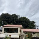 대나무통카페 | 담양 카페: 죽녹원 근처 '미각&담양양갱' 대나무케이크 카페 방문 후기