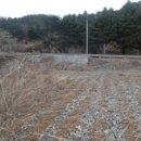 금대리828 이미지