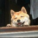 24시옛날집 이미지